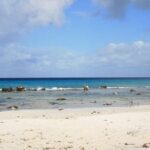 Your Guide Private Tour (North and South) Customize - Final Thoughts: Who Will Love This Tour?