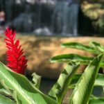 Ys falls - Final Thoughts