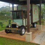 YS Falls and Appleton Estate Private Rum Tour - Practical Details and Considerations