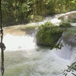 YS Falls and Black River Safari Including Pelican Bar Tour - Who Should Consider This Tour?