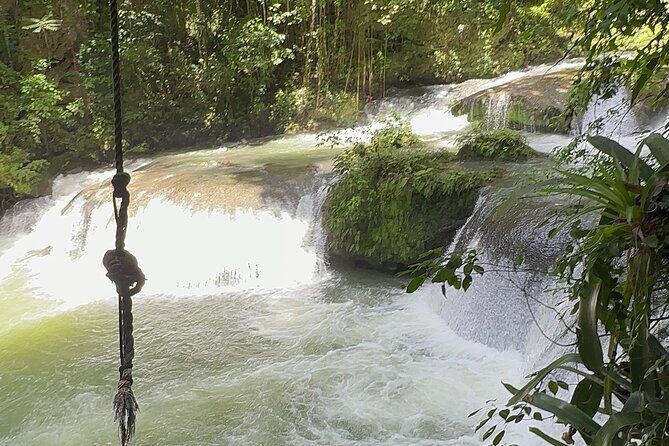 YS Falls and Black River Safari Including Pelican Bar Tour - Who Should Consider This Tour?