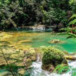 YS Falls and Black River Safari South Coast from Negril Jamaica - The Sum Up: Who will love this tour?