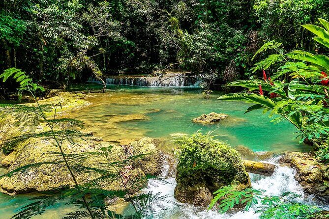 YS Falls and Black River Safari South Coast from Negril Jamaica - The Sum Up: Who will love this tour?
