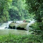 YS Falls and Sightseeing Tour Day Adventure - Authenticity and Value