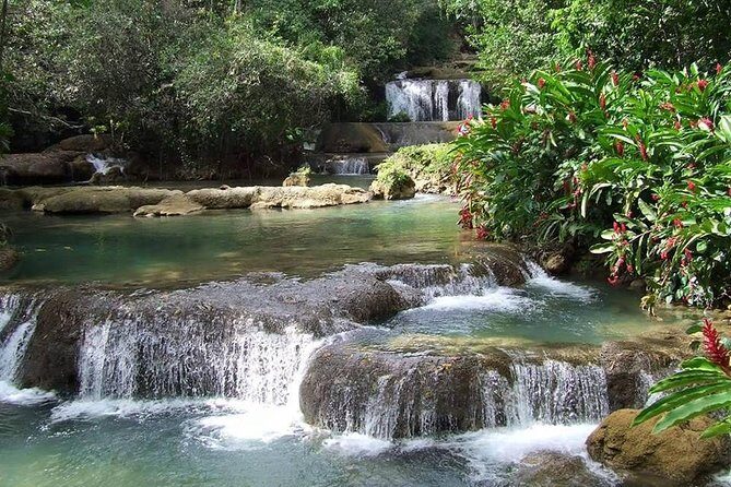 YS Falls and The Pelican Bar Adventure Tour from Montego Bay - Practical Tips for the Tour