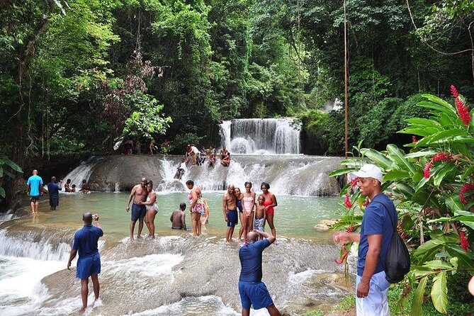 YS Falls and The Pelican Bar Adventure Tour from Negril - Who Will Love This Tour?