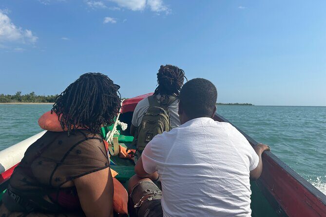 YS Falls and Zipline with Floyds Pelican Bar Full Day Tour - The Adventure: Ziplining and River Tubing