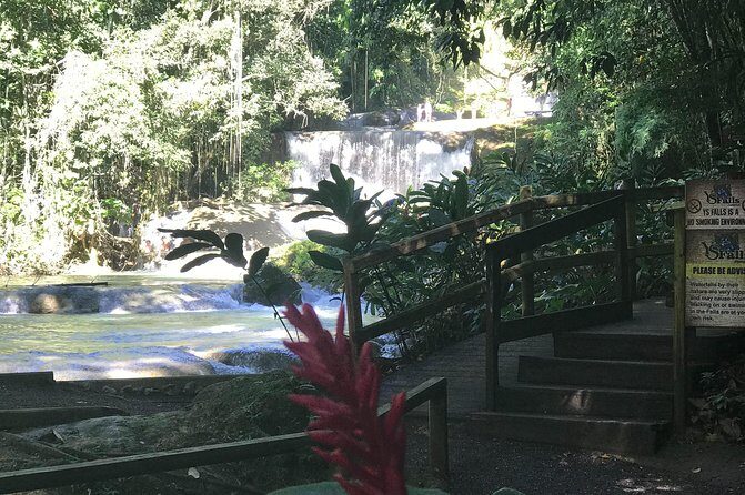 Ys Falls, Floyds Pelican Bar, Black River Safari - Practical Details and Tips