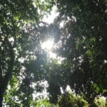 Ys Falls From Ocho Rios - Final Thoughts