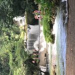 YS Falls Private Full-Day Adventure Tour with Pickup - FAQs