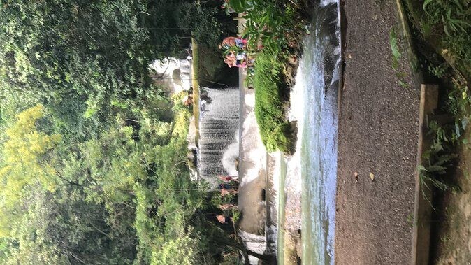 YS Falls Private Full-Day Adventure Tour with Pickup - FAQs