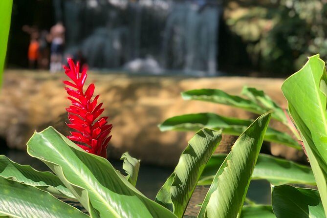 Ys falls - Final Thoughts