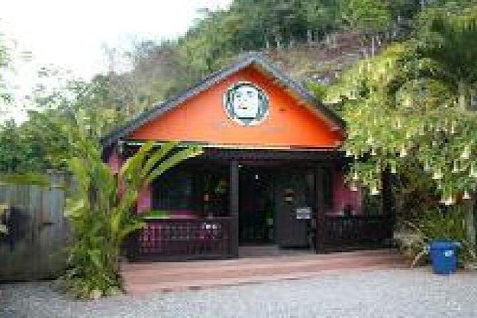 Zion Bus Line- Bob Marley Cultural Experience from Ocho Rios - Final Thoughts: Is It Worth It?