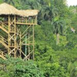 Zip Line Adventure from Punta Cana (Half Day) - FAQs