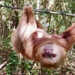 Zip Line, Rappel, Hiking La Carpintera Tour in San Jose - The Sum Up