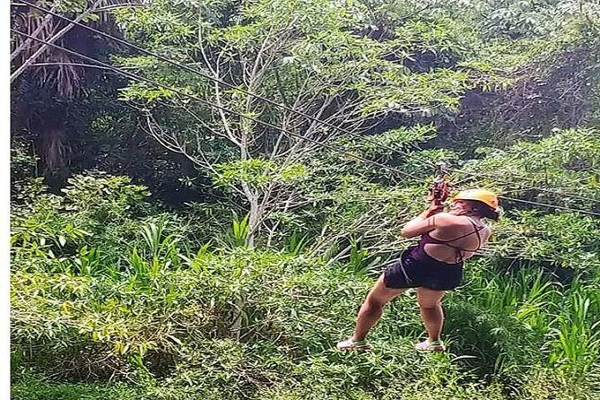 Zip-lining Adventure - The Full Experience: What to Expect and Why It Matters
