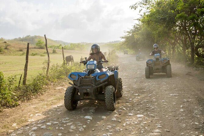 Zip-lining/Horseback Rides/Cat & Atv Inclusive Act with Transpo From Montego Bay - What Reviewers Say