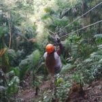 Zipline Adventure In The Rainforest - In-Depth Review of the Zipline Experience