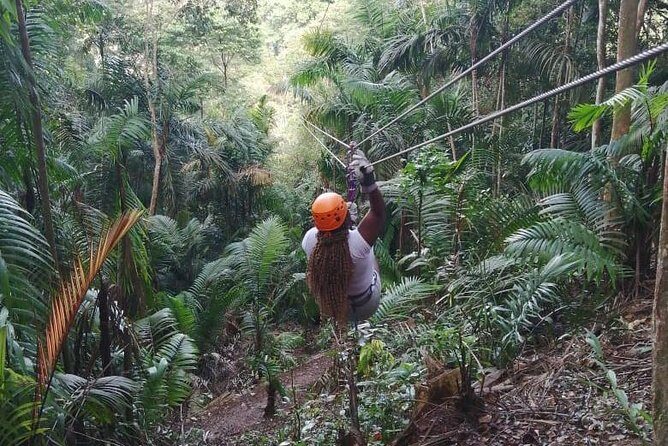 Zipline Adventure In The Rainforest - In-Depth Review of the Zipline Experience