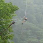Zipline and Canal Tour - Why This Tour Offers Great Value