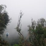 Zipline and Hanging Bridges Combo Tour in Monteverde Cloud Forest - Practical Tips for Your Day