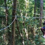 Zipline Canopy At White River Valley from Ocho Rios - An In-Depth Look at the Zipline Experience