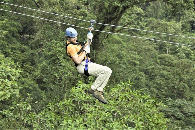 Zipline Canopy & Dunn's River Falls Guided Tour with Admission from Falmouth - Why We Think This Tour Works