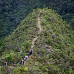 Zipline Canopy Tour - Who Will Love This Tour?