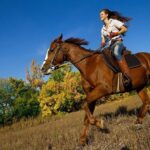 Zipline Canopy Tour & Horseback Riding Combo. Private Tour from San Jose - An In-Depth Look at the Tour Experience