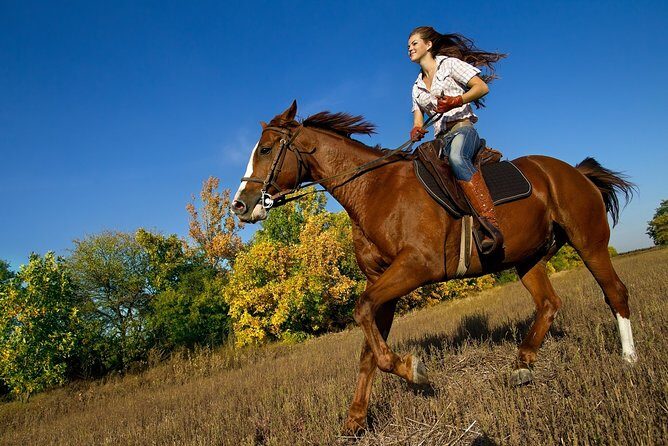 Zipline Canopy Tour & Horseback Riding Combo. Private Tour from San Jose - An In-Depth Look at the Tour Experience