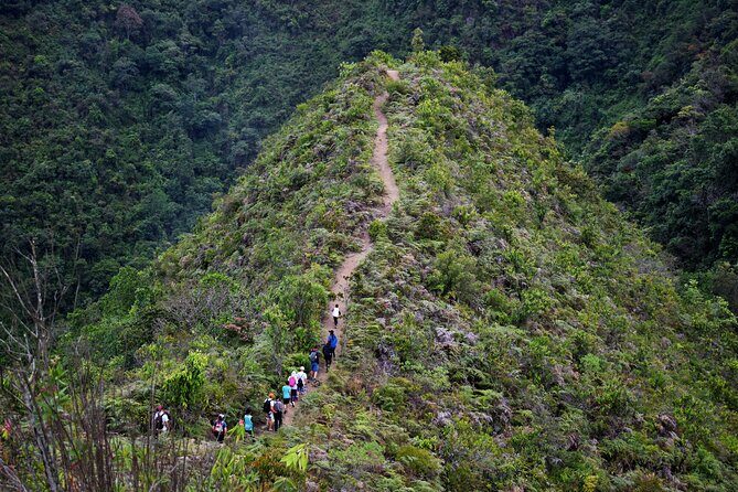 Zipline Canopy Tour - Who Will Love This Tour?