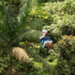 Zipline Tour in Braulio Carrillo National Park From San José - Who Will Love This Tour?