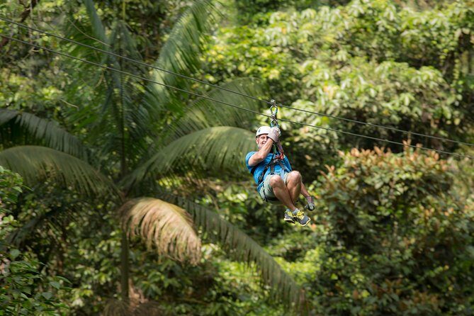 Zipline Tour in Braulio Carrillo National Park From San José - Who Will Love This Tour?