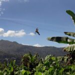 Ziplining at the Rainforest in Puerto Rico - Authentic Opinions from Travelers