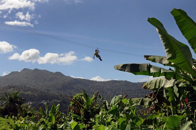 Ziplining at the Rainforest in Puerto Rico - Authentic Opinions from Travelers