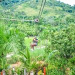 Ziplining in YS Falls and Black River Safari Private Tour - Who Will Love This Tour?