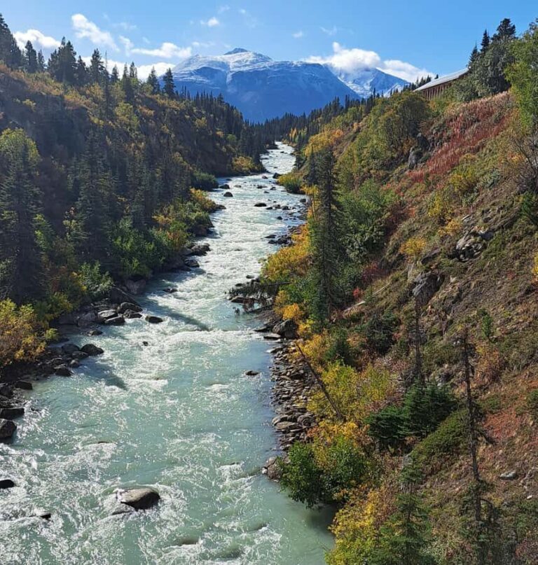 1/2 Day Yukon and Suspension Bridge Adventure - An In-Depth Look at the 1/2 Day Yukon and Suspension Bridge Adventure