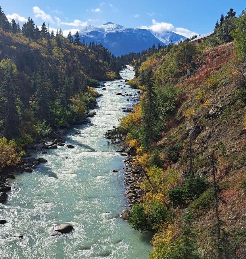 1/2 Day Yukon and Suspension Bridge Adventure - An In-Depth Look at the 1/2 Day Yukon and Suspension Bridge Adventure