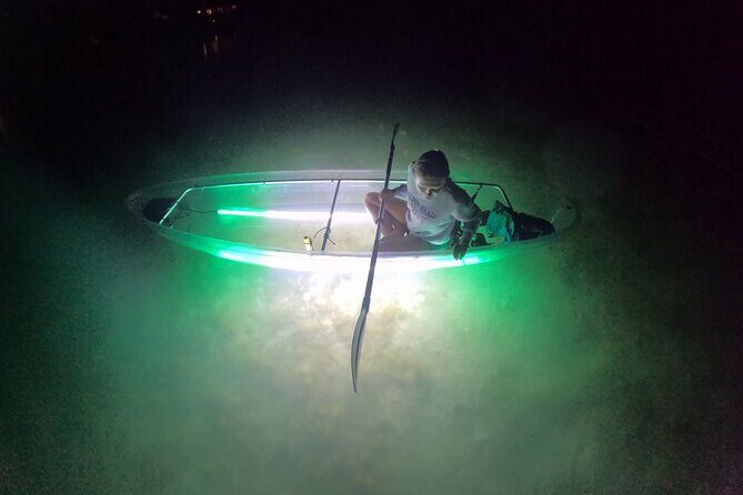 1.5-Hour LED Illuminated Clear Kayak Night Adventure Tour - Who Is This Tour For?
