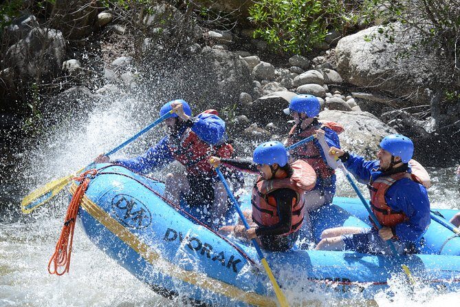 1-Day Arkansas River - The Numbers Rafting Trip - Who Should Consider This Tour?