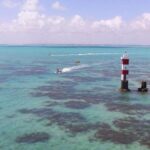 1-day diving tour in Perobas/RN - Leaving from Natal - Final Thoughts: Is This Tour for You?