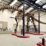 1-Day Private Premium Drumheller & Badlands Tour - The Final Word