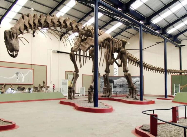 1-Day Private Premium Drumheller & Badlands Tour - The Final Word