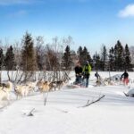 15 min. Tadoussac : Dog Sled Excursion in Saguenay Fjord - Frequently Asked Questions