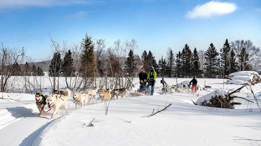 15 min. Tadoussac : Dog Sled Excursion in Saguenay Fjord - Frequently Asked Questions