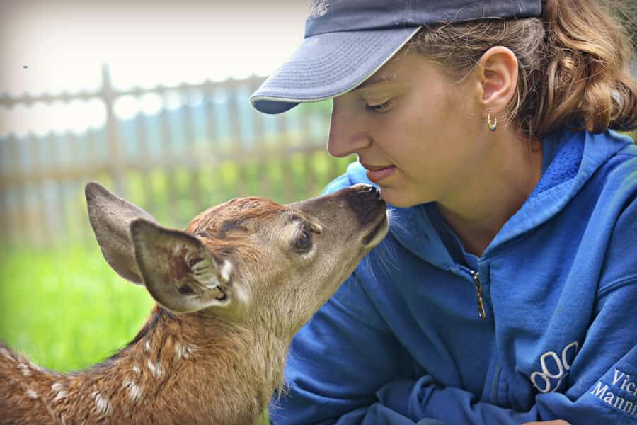 15 min. Tadoussac: Free visit to the animal shelter and farm - The Experience: What to Expect