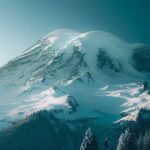 2 Day Washington State Tour in Mt Rainier and Seattle Highlights - The Sum Up