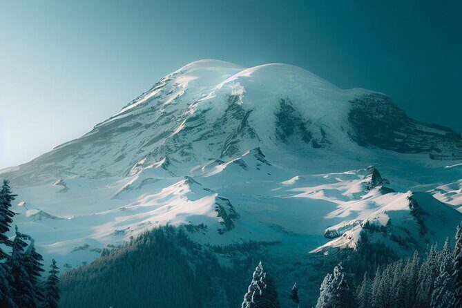 2 Day Washington State Tour in Mt Rainier and Seattle Highlights - The Sum Up