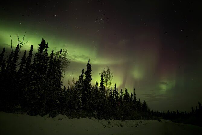 2 Days Aurora Experience in Yellowknife - Who Will Appreciate This Tour?
