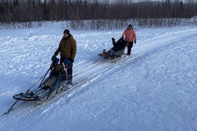 2-Hour Basic Dog Mushing School (with Transportation) - Why This Tour Is a Good Value